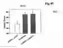 Fig. 41 - Promoters exhibiting endothelial cell specificity and methods of using same