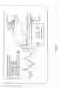 Fig. 02 - Surface roughness quantification of pharmaceuticals, herbal, nutritional dosage forms and cosmetic preparations