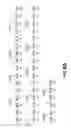 Fig. 33 - Therapeutic and diagnostic methods and compositions based on notch proteins and nucleic acids