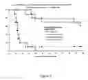 Fig. 06 - Compositions and methods employing alternative reading frame polypeptides for the treatment of cancer and infectious disease