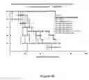 Fig. 08 - Compositions and methods employing alternative reading frame polypeptides for the treatment of cancer and infectious disease