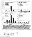 Fig. 02 - Immunogenic composition