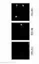 Fig. 09 - Autoantigenic fragments, methods and assays