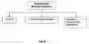 Fig. 09 - Immunogenic composition and method of developing a vaccine based on factor H binding sites