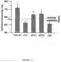 Fig. 02 - Method for conditioning animals