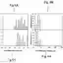 Fig. 07 - Immobilization of bead-displayed ligands on substrate surfaces