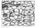 Fig. 01 - Method of forming thermoplastic foams using nano-particles to control cell morphology