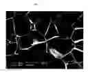 Fig. 04 - Method of forming thermoplastic foams using nano-particles to control cell morphology
