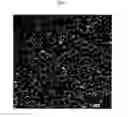 Fig. 06 - Method of forming thermoplastic foams using nano-particles to control cell morphology