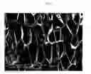 Fig. 07 - Method of forming thermoplastic foams using nano-particles to control cell morphology