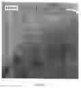 Fig. 08 - Method of plating metal leafs and metal membranes