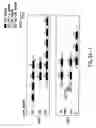 Fig. 15 - Identification and isolation of novel polypeptides having PDZ domains and methods of using same