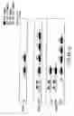 Fig. 16 - Identification and isolation of novel polypeptides having PDZ domains and methods of using same