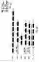 Fig. 17 - Identification and isolation of novel polypeptides having PDZ domains and methods of using same