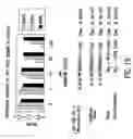 Fig. 35 - Identification and isolation of novel polypeptides having PDZ domains and methods of using same