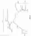 Fig. 34 - Characterization of the earliest stages of the severe acute respiratory syndrome (SARS) virus and uses thereof