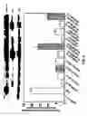 Fig. 06 - Inhibition of retroviral replication through modulation of the host cell ubiquitylation
