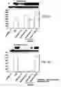 Fig. 08 - Inhibition of retroviral replication through modulation of the host cell ubiquitylation