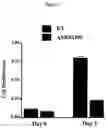 Fig. 08 - Dna sequences for human angiogenesis genes