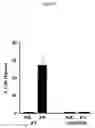 Fig. 09 - Dna sequences for human angiogenesis genes