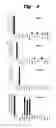 Fig. 04 - Assay for species sources