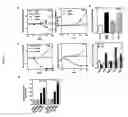 Fig. 05 - APRIL-A novel protein with growth effect