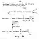 Fig. 07 - Method for distinguishing different-sequence polynucleotides