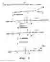Fig. 08 - Method for distinguishing different-sequence polynucleotides