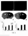Fig. 05 - PTD-modified proteins