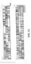 Fig. 04 - Polypeptides implicated in the expression of resistance to glycopeptides, in particular in Gram-positive bacteria, nucleotide sequence coding for these polypeptides and use for diagnosis