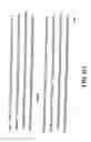 Fig. 48 - Polypeptides implicated in the expression of resistance to glycopeptides, in particular in Gram-positive bacteria, nucleotide sequence coding for these polypeptides and use for diagnosis