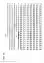 Fig. 60 - Polypeptides implicated in the expression of resistance to glycopeptides, in particular in Gram-positive bacteria, nucleotide sequence coding for these polypeptides and use for diagnosis