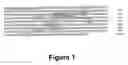 Fig. 02 - Fibroblast growth factor receptors and methods for their use
