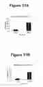 Fig. 32 - Fibroblast growth factor receptors and methods for their use