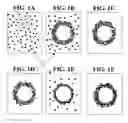 Fig. 02 - Gel-shell beads with adsorbed or bound biomolecules