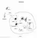 Fig. 02 - Microscope system and methods for intracellular studies