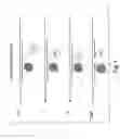 Fig. 02 - FRET efficiency methods