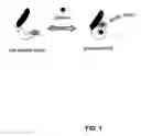 Fig. 02 - Compositions and methods for measuring analyte concentrations