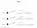 Fig. 02 - Systems and methods for characterizing kidney diseases