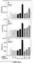 Fig. 09 - Diagnostic and prognostic methods for prostate cancers