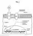 Fig. 02 - Method and compositions for inhibiting tumorigenesis