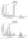 Fig. 07 - Method and compositions for inhibiting tumorigenesis
