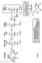 Fig. 02 - Metabolically engineered bacterial strains having non-functional endogenous gluconate transporters