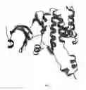 Fig. 02 - Crystals and structures of protein kinase CHK2