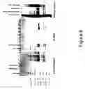 Fig. 09 - Method for the purification of alphavirus replicon particles