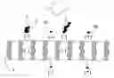 Fig. 01 - Purification and concentration of synthetic biological molecules