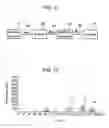Fig. 08 - Device for measuring extracellular potential