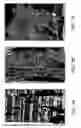 Fig. 06 - Application of electrical stimulation for functional tissue engineering in vitro and in vivo