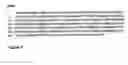Fig. 06 - Sleeping beauty, a transposon vector with a broad host range for the genetic transformation in vertebrates