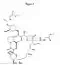 Fig. 05 - Method and composition useful for determining FK 506